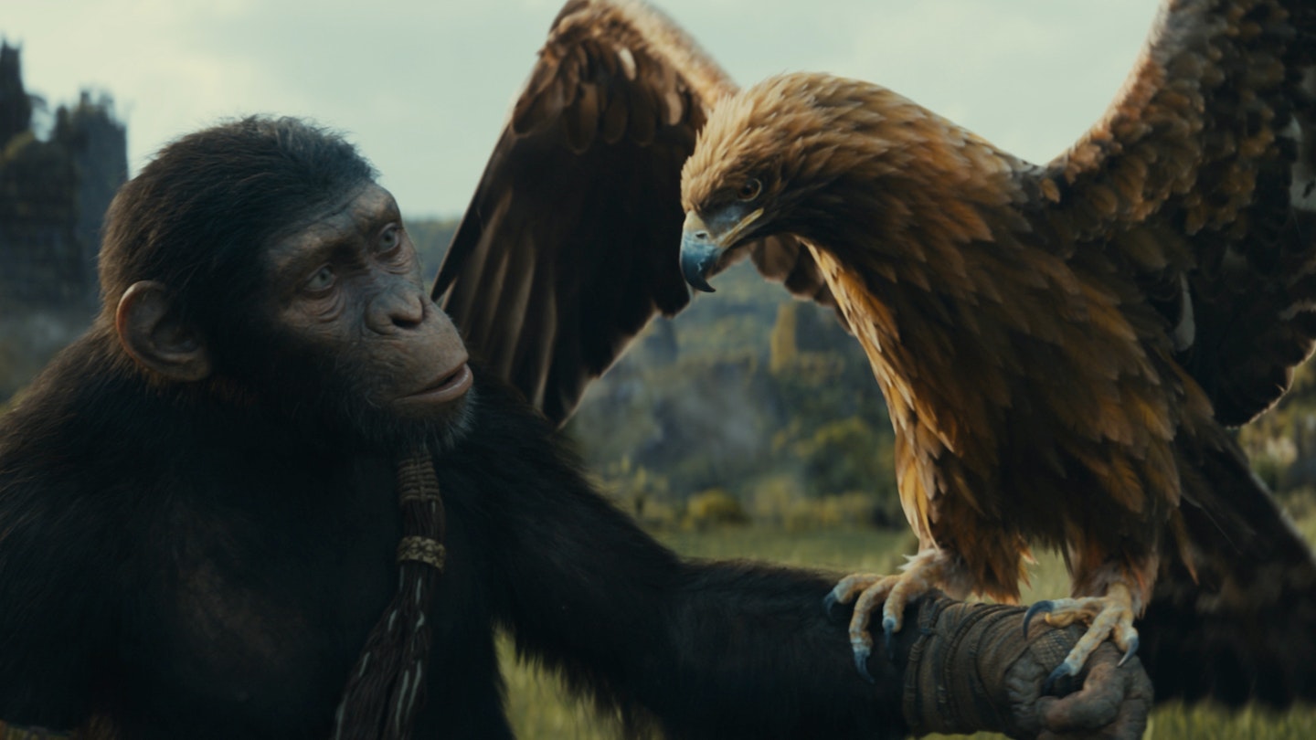 Kingdom Of The Planet Of The Apes new main