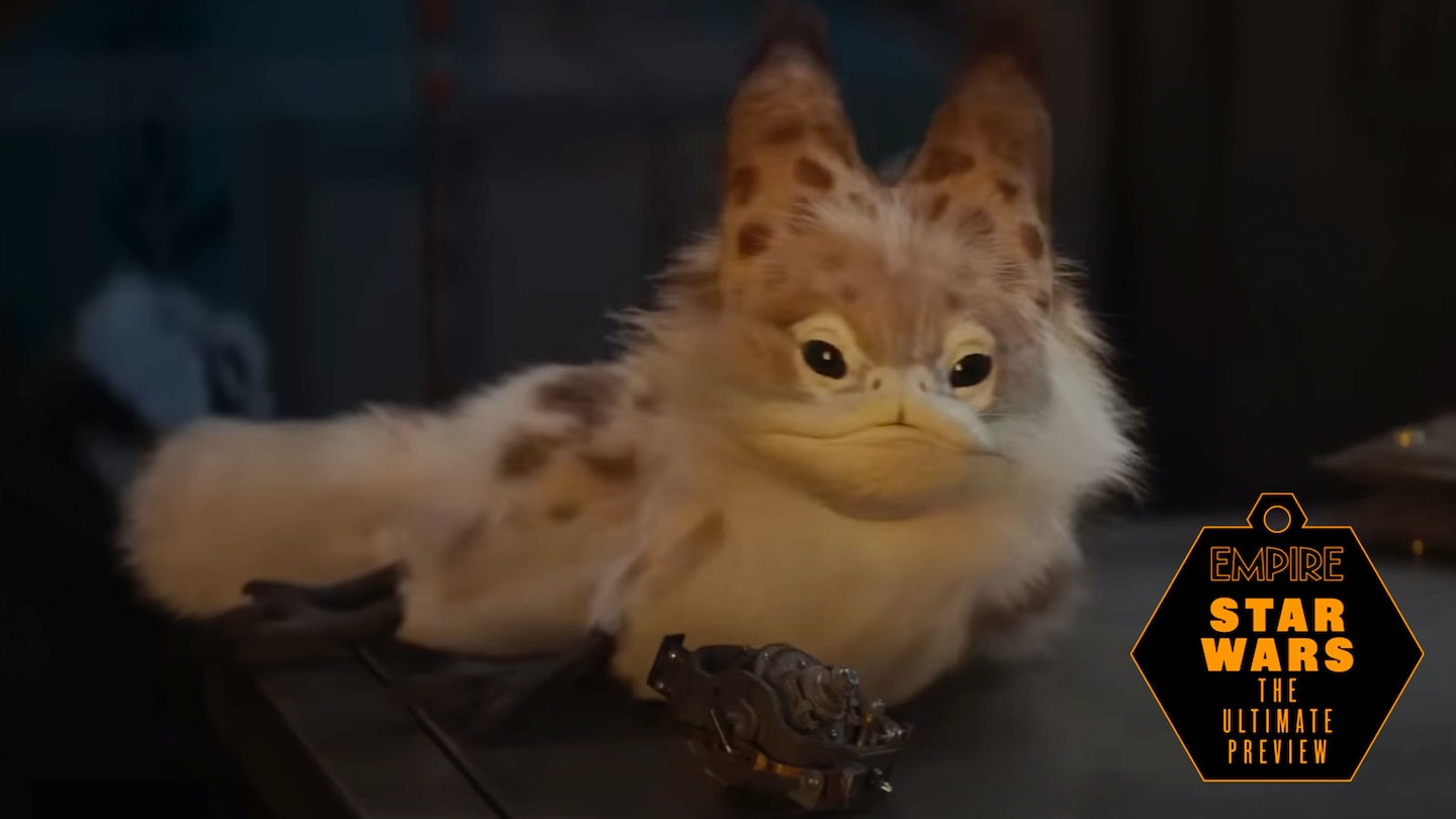 Loth-cat